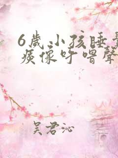 6岁小孩睡觉有痰像呼噜声