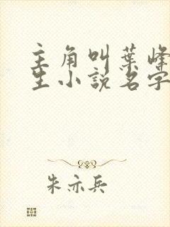 主角叫叶峰的重生小说名字叫什么
