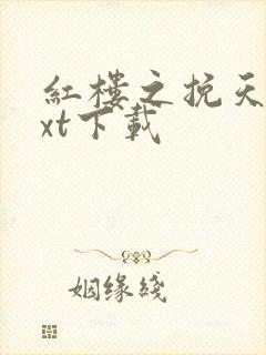 红楼之挽天倾txt下载