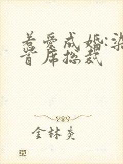 惹爱成婚:染指首席总裁