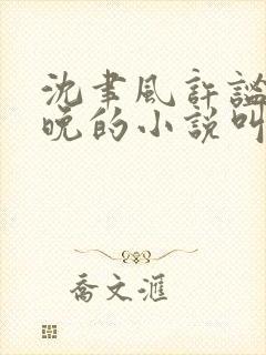 沈聿风许谧宋星晚的小说叫什么名字