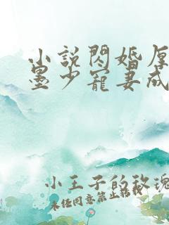 小说闪婚厚爱:墨少宠妻成瘾