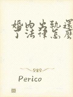 婚内出轨还怀孕了法律怎么处理