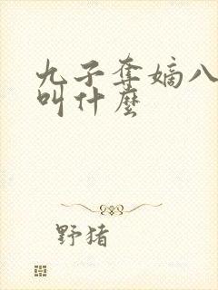 九子夺嫡八阿哥叫什么