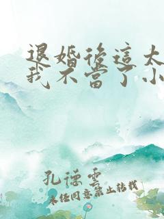 退婚后这太子妃我不当了小说免费阅读