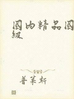 国内精品国产三级