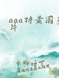 aaa特黄国产片