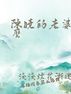陈晓的老婆叫什么