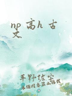 np 高h 古文