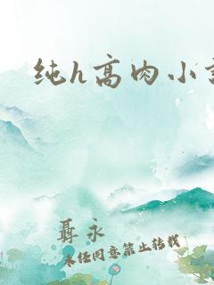 纯h高肉小说