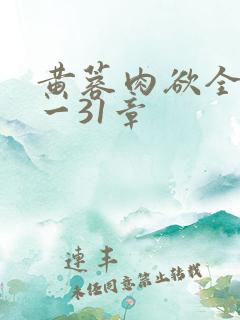 黄蓉肉欲全黄1一31章