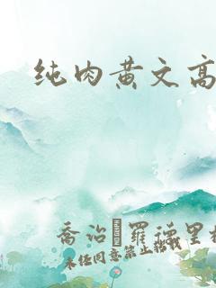 纯肉黄文高h