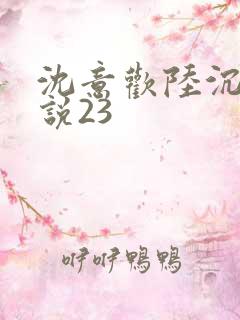 沈意欢陆沉舟小说23