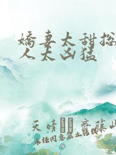 娇妻太甜总裁大人太凶猛
