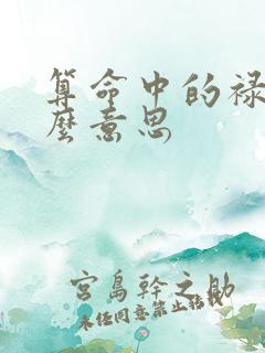 算命中的禄是什么意思