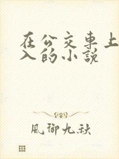 在公交车上被后入的小说