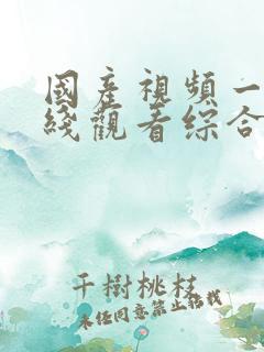 国产视频一区在线观看综合
