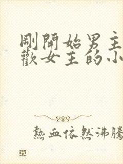 刚开始男主不喜欢女主的小说