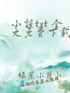 小说txt 全文免费下载网站
