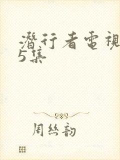 潜行者电视剧第5集