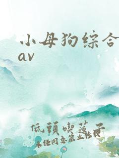 小母狗综合久久av