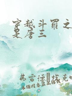 穿越斗罗之我弟是唐三