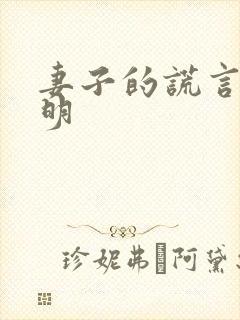 妻子的谎言江一明