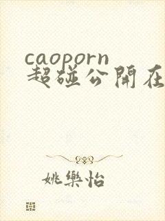 caoporn超碰公开在线