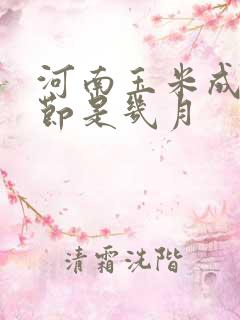 河南玉米成熟季节是几月