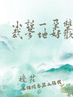 小说一孕双宝总裁爹地好欢喜免费阅读