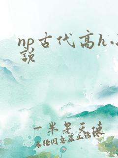 np古代高h小说