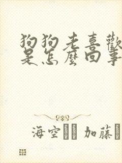 狗狗老喜欢舔人是怎么回事