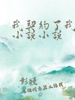 我契约了我自己小说小说
