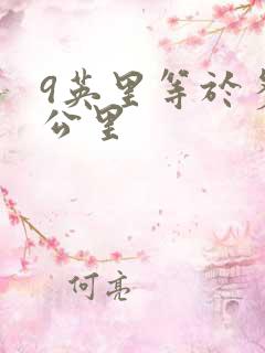 9英里等于多少公里