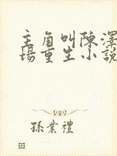 主角叫陈泽的官场重生小说