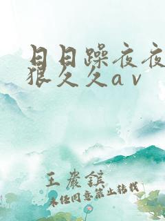 日日躁夜夜躁狠狠久久a v 日日躁夜夜躁狠狠久久a v
