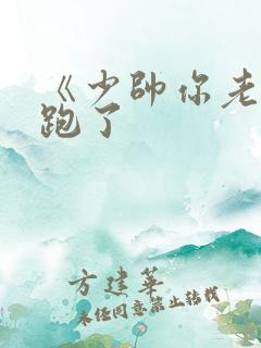 《少帅你老婆又跑了