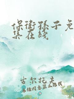 保卫孙子免费全集在线