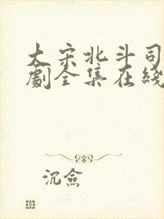 大宋北斗司电视剧全集在线观看