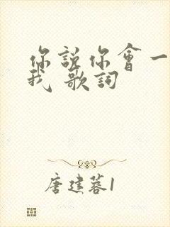 你说你会一直爱我 歌词