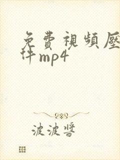 免费视频压缩软件mp4