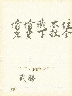 偷偷藏不住漫画免费下拉全集