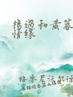 杨过和黄蓉荒岛情缘