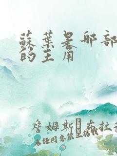 苏叶是哪部小说的主角