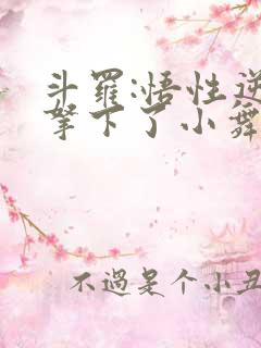 斗罗:悟性逆天拿下了小舞的小说