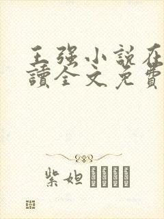 王强小说在线阅读全文免费