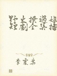 野火撩过姐姐心短剧全集播放