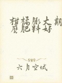 柑橘膨大期用什么肥料好