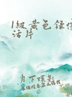 1级黄色录像生活片