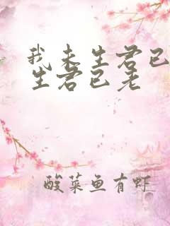我未生君已生我生君已老